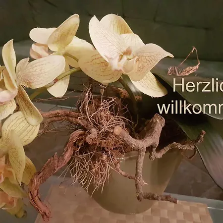 Am Stadthafen _ Obje アパート ロストック